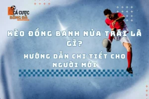 Kèo đồng banh nửa trái là gì? Hướng dẫn chi tiết cho người mới