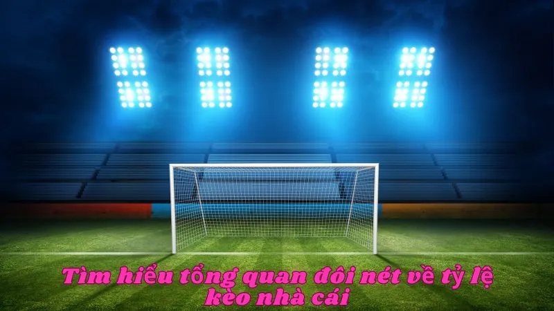 Tổng quan đôi nét về tỷ lệ kèo của nhà cái