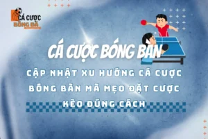 cá cược bóng bàn