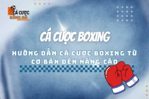 cá cược boxing