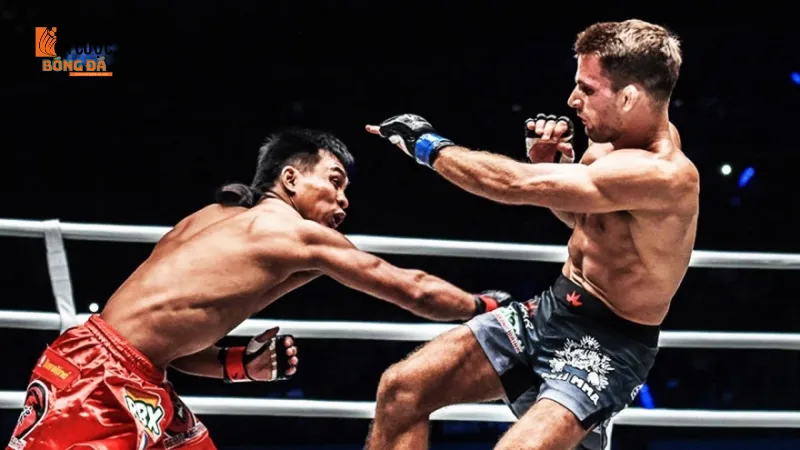 Chi tiết về cách đặt cược boxing