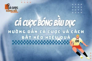 cá cược bóng bầu dục