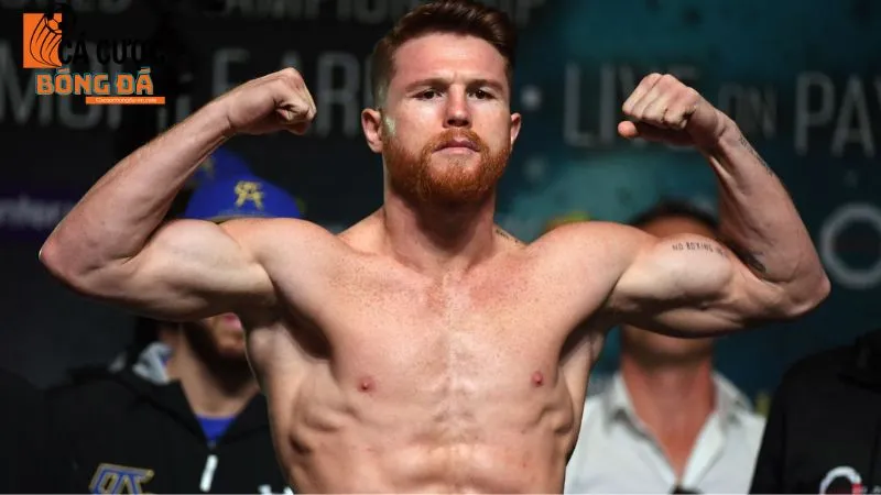 Chân dung huyền thoại boxing Canelo Álvarez top 1 thế giới