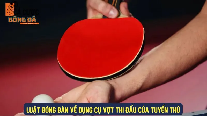 Tìm hiểu luật yêu cầu về vợt thi đấu