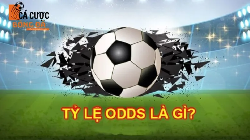 Tìm hiểu tỷ lệ kèo Odds là gì