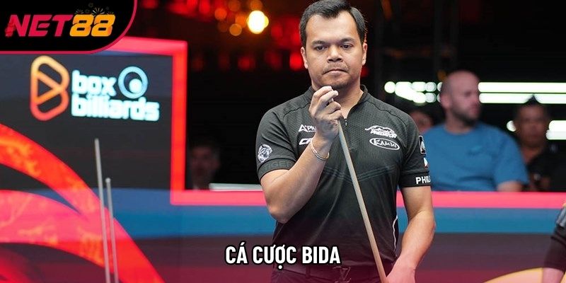 Cá Cược Bida: Nghệ Thuật Phân Tích Và Chiến Thuật Giành Chiến Thắng