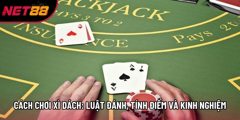 Cách Chơi Xì Dách: Luật Đánh, Tính Điểm Và Kinh Nghiệm