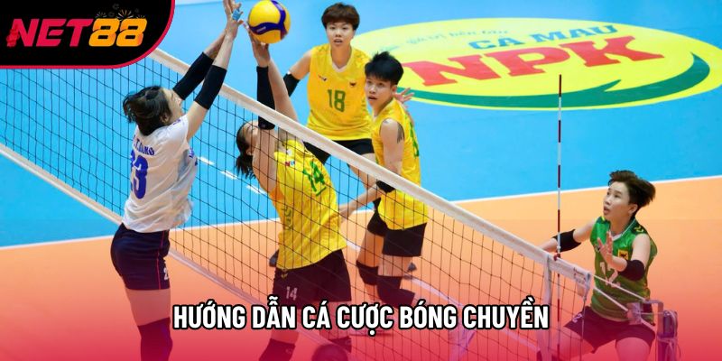 Hướng Dẫn Cá Cược Bóng Chuyền - Phân Tích Kèo Set Net88